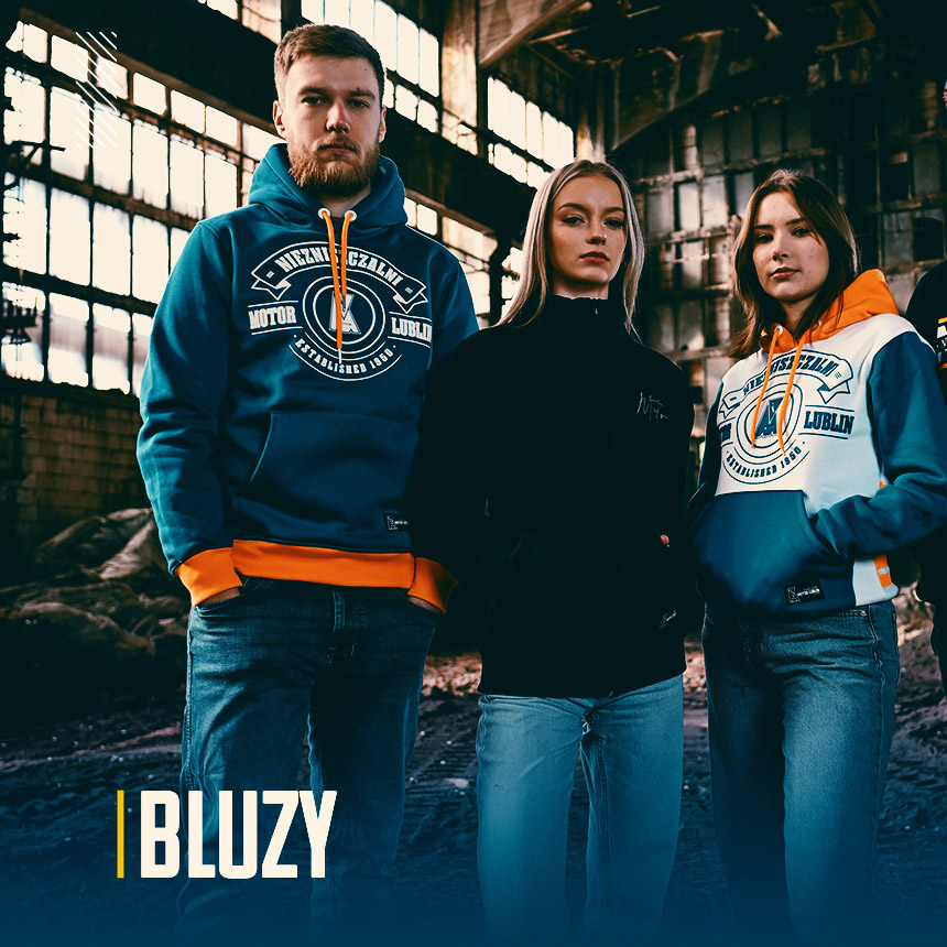 Bluzy - link